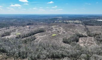 919 County Road 6628, Banks, AL 36005