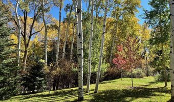 1180 Black Birch Dr, Aspen, CO 81611