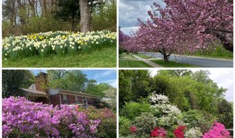 8200 BEECH TREE Rd, Bethesda, MD 20817