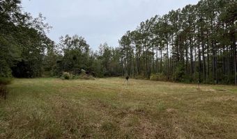 0 County Road 79 S, Baker Hill, AL 36027