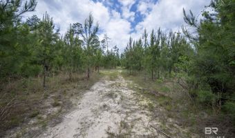 Phillipsville Road, Bay Minette, AL 36507