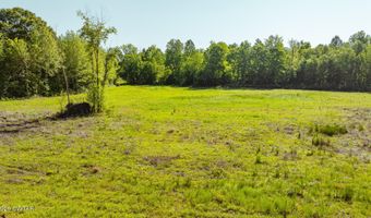 Beech Bluff Road, Beech Bluff, TN 38313