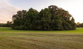100 Acres Harmony Church Rd, Andalusia, AL 36421