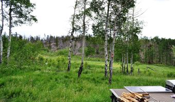 1256 Basking Dog Rd, Bellvue, CO 80512