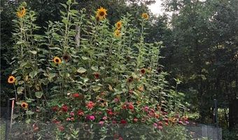 14916 Upper Sandy Rd, Ashby, MN 56309