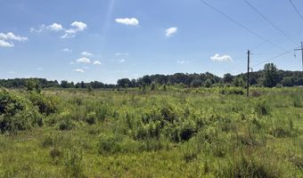 Beauty Hill Rd lot 2, Bethel Springs, TN 38315