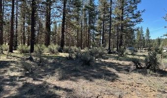 Ruddy Duck Drive Lot 5, Bonanza, OR 97623