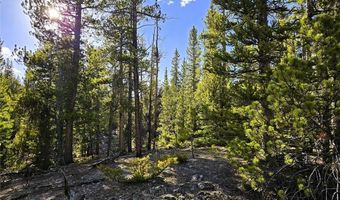 PCS # 7765 & 12057 Rollies Trail lot 0, Alma, CO 80420