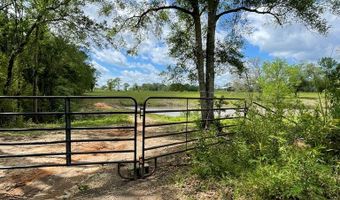 715 721 Bouie Rd, Carriere, MS 39426