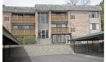 1315 S MAPLE Rd 305, Ann Arbor, MI 48103