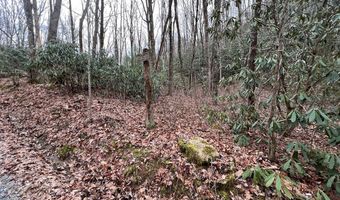 Lt 170 Granny Squirrel Drive 170, Andrews, NC 28901