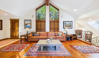 593 Meadowood Dr, Aspen, CO 81611