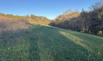 9999 Terrell's Creek Rd, Annville, KY 40402