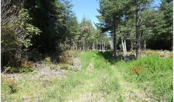 47615 Oregon Coast Hwy, Bandon, OR 97411