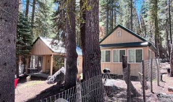 34 Silvertip Rd, South Lake Tahoe, CA 95223
