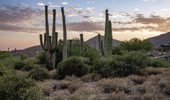 41927 N SAGUARO FOREST Dr 107, Scottsdale, AZ 85262