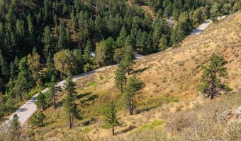 0 Pine Acres Way, Bellvue, CO 80512