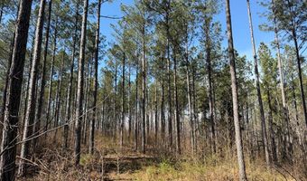 Highway 28, Abbeville, SC 29620