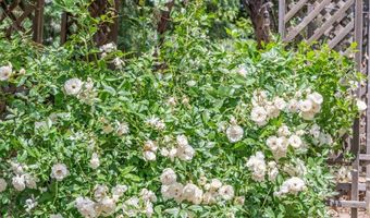 39875 Bautista Rd, Anza, CA 92539