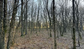 0002 CR-290, Asbury, MO 64832