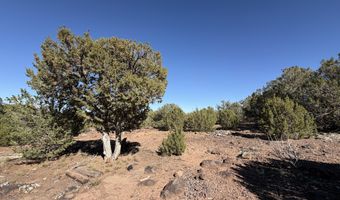 4 Pinon, Concho, AZ 85924