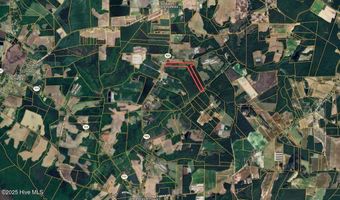 00 Nc N 903, Albertson, NC 28508