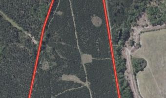 57 40 Acres-TBD Cades Rd, Cades, SC 29518