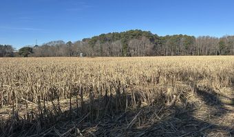 0 Bivalve Lodge Rd, Bivalve, MD 21814