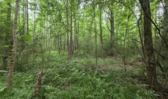 1542 Wellman Dr, Brookhaven, MS 39601