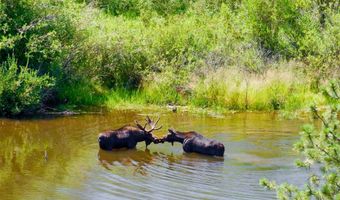 162 IRON HORSE Rd, Buford, WY 82052