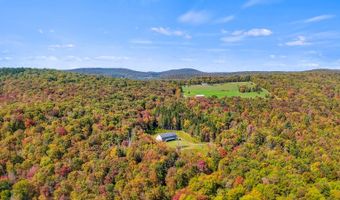 1724 Calhoun Hill Rd, Andes, NY 13731