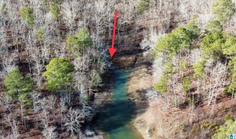 Lot 36 STONEY POINT LANDING 36, Double Springs, AL 35553