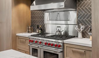 971 Ute Ave, Aspen, CO 81611