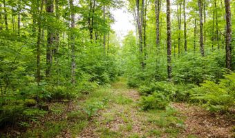 TBD Fishing Site # 2, Amasa, MI 49903