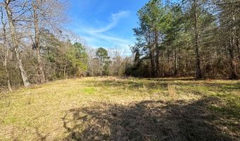 000 Mt Pleasant Ln SE, Bogue Chitto, MS 39629