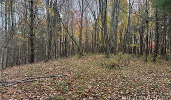 Rominger Road, Banner Elk, NC 28604