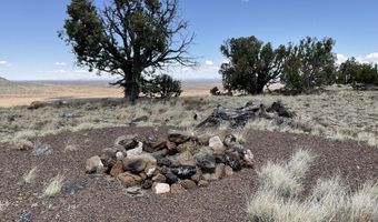 425 N 8051, Concho, AZ 85924