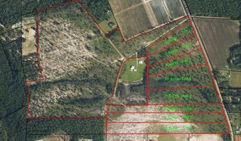 Lot 8 Cartertown Rd, Alma, GA 31510