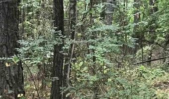 S LAKESIDE LANE lot 20, Alpine, AL 35014