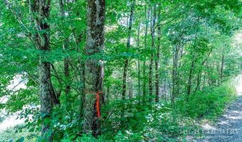 218 Old Mountain Rd, Banner Elk, NC 28604