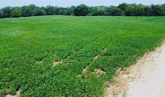 4159 NW State Route FF Hwy, Adrian, MO 64730