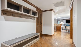 415 E Dean St Unit 19 Week 28, Aspen, CO 81611