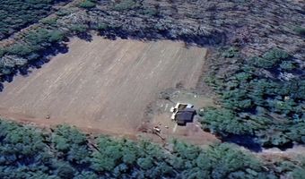 96 Smokethorn St, Andrews, SC 29510