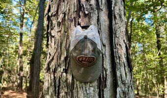 0 Lloyd Mill Rd, Andalusia, AL 36421