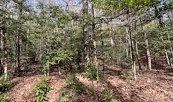 MORRIS CREEK RD lot 2, Andrews, NC 28901