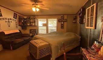 403 County Road 324 Cir, Alice, TX 78332