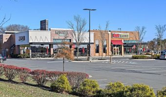 19872 YELLOW DAISY Ter, Ashburn, VA 20147