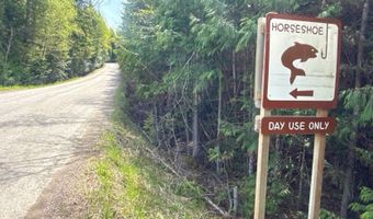 13376 Bug Creek Rd, Bigfork, MT 59911