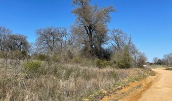 Willow Bend Lane, Atoka, OK 74525
