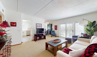 201 N Vail Ave 207, Arlington Heights, IL 60004